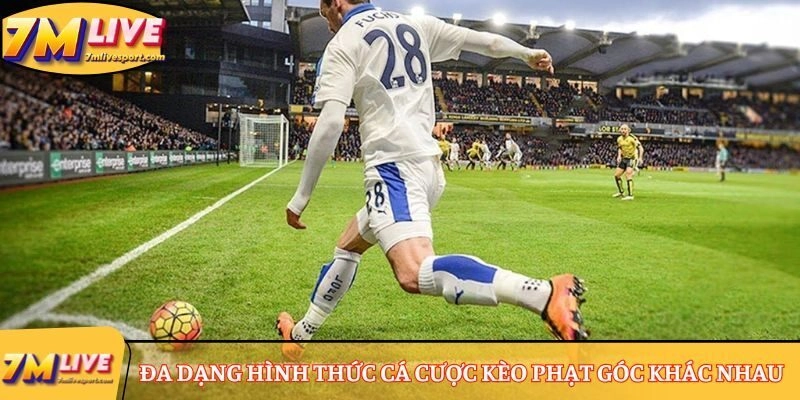 Đa dạng hình thức cá cược kèo phạt góc khác nhau