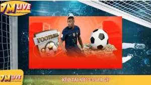 Kèo Tài Xỉu 3-3.5 là gì