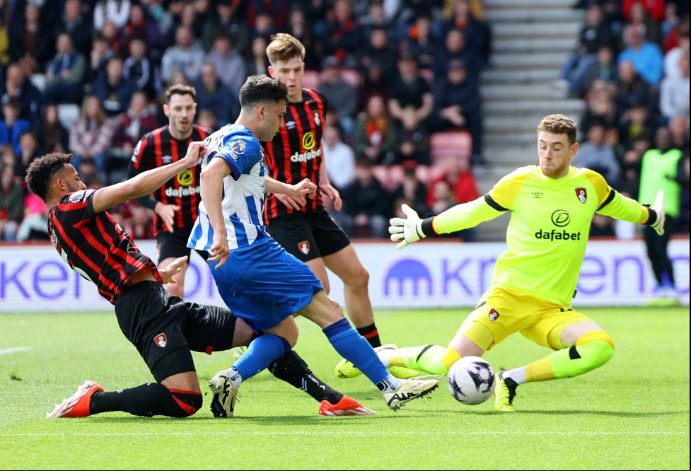 Dự đoán kết quả chính xác Brighton vs Bournemouth